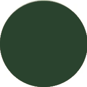 Purchase Dark Green Prom Dresses UK